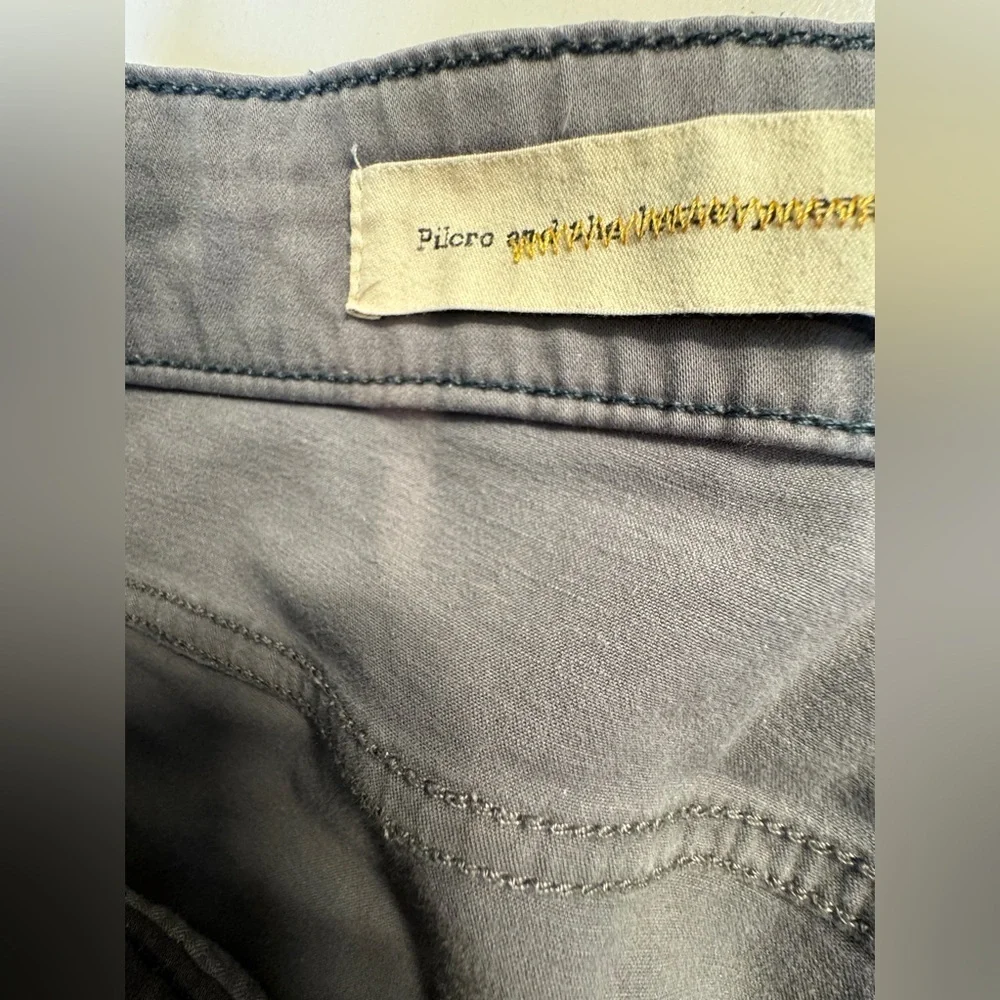 Pilcro & the Letterpress Gray Skinny Jeans Size 32 Ankle Zip Anthropologie
